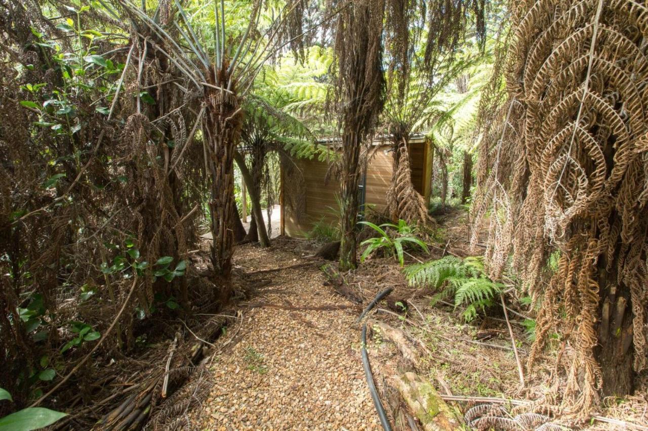 Karaka Sanctuary With Spa Pool By Waiheke Unlimited Oneroa 客房 照片